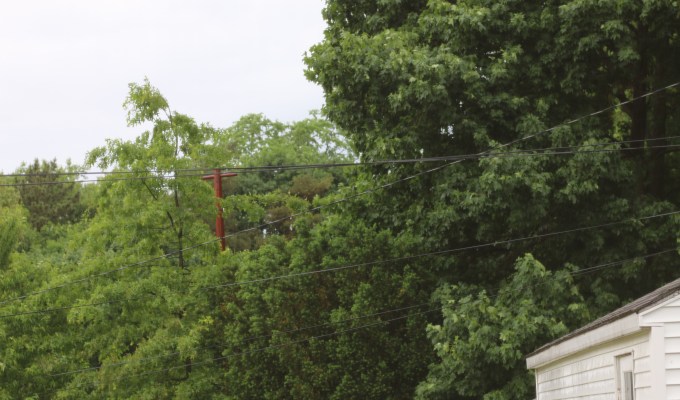 The Advent of Some&nbsp;Sugar.