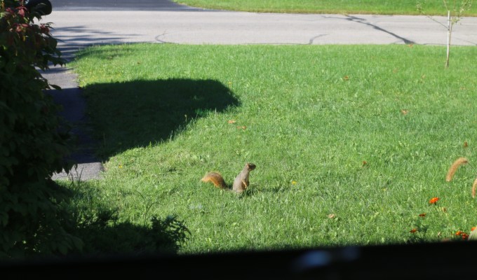 The Battle With&nbsp;Dust.